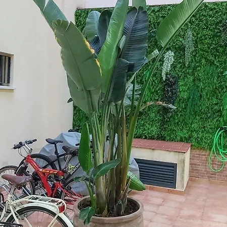 Apartment Misterhost Duplex Centrico Y Tranquilo Wifi Smarttv Seville